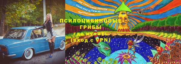 прущие крисы Арсеньев