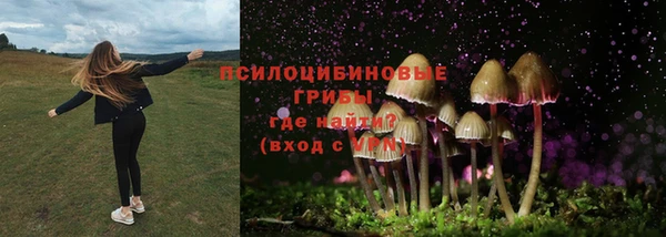 шишки Баксан